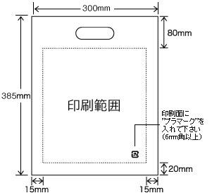 ホログラム 小判抜きバッグ